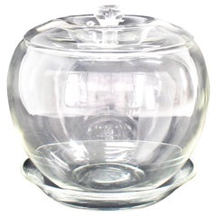 Elsa Petretti for Tiffany Large Glass Apple Jar with Lid and Dish