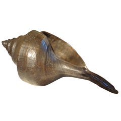 Italian Mid-Century Bronze Seashell Sculpture-Large 24"