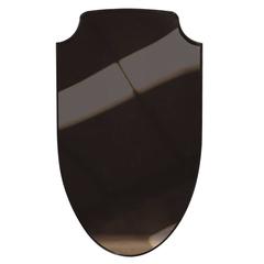 Aegis Contemporary Deco Minimal Steel Mirror with Bronzed Glass 8