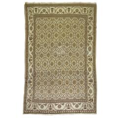 Vintage Northwest Persian Rug 9