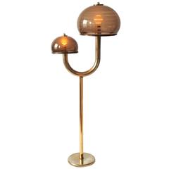 Smoked Acrylic Shade and Brass-Plated Floor Lamp Mid-Century, 1970s, USA