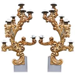 Pair of Monumental 18th Century Italian Giltwood Sconces or Candelabra 8