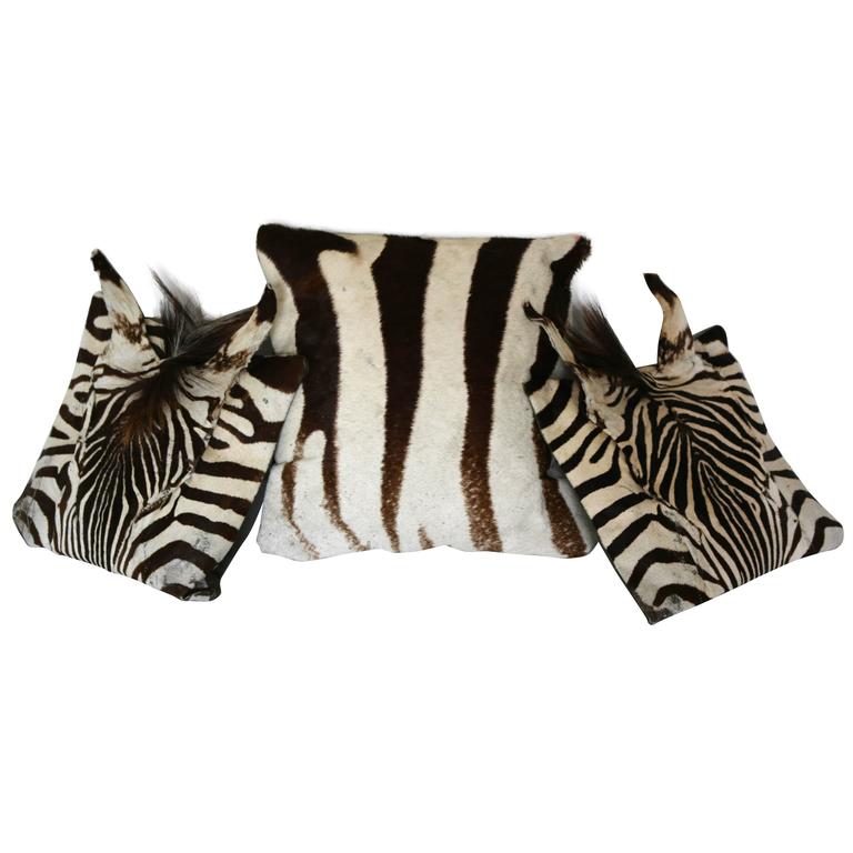 Set of Three Authentic Zebra Skin Pillows at 1stDibs