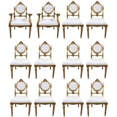12 French Giltwood Neoclassical Style Dining Chairs 11