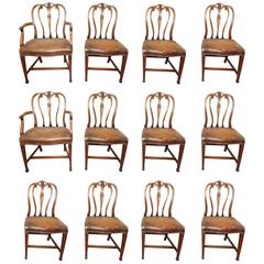 Set of 12 Adams Style Mahogany Dining Chairs