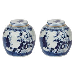 Pair of Chinese Export Porcelain Ginger Jars