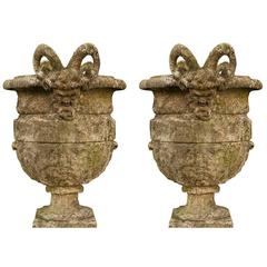 Set of Four Cement Urns with Ram Heads