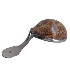 Rare George III Silver Mounted Cowrie Shell Caddy Spoon by Matthew Linwood