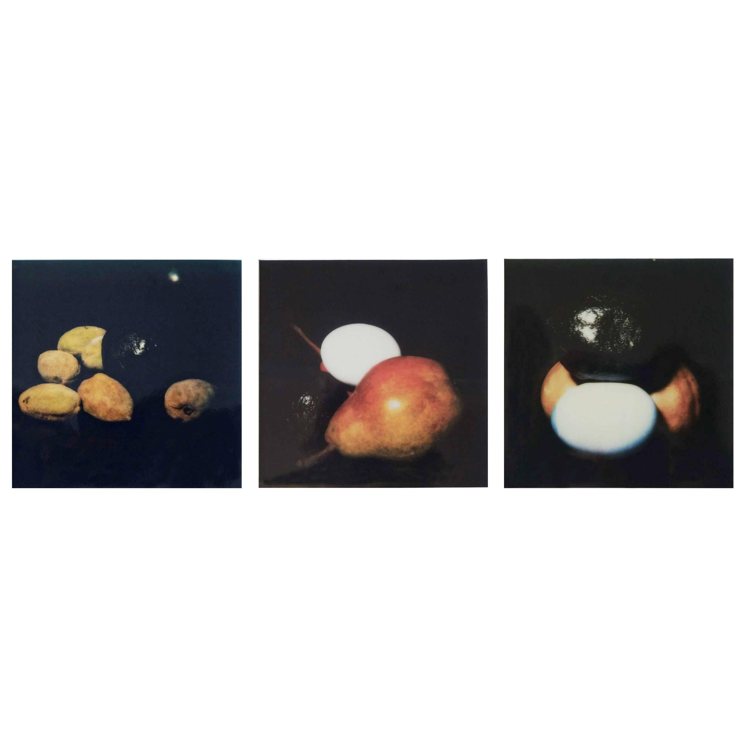 Donald Sultan Three Photographic Studies for Still Lifes For Sale
