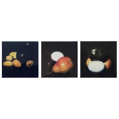 Donald Sultan Three Photographic Studies for Still Lifes