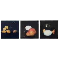 Donald Sultan Three Photographic Studies for Still Lifes 3