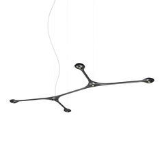 Contemporary suspension carbon light with different finishes