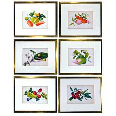 China Trade Watercolour Paintings of Vegetables, set of six, Mid-19th Century. 1