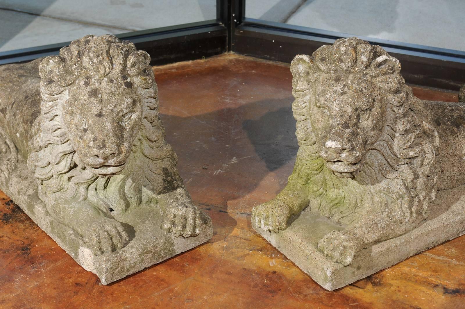 Pair of Stone Lions 3