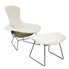 Vintage Bird Chair and Ottoman by Harry Bertoia for Knoll