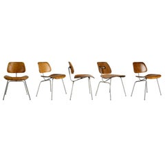 Evans Production Walnut DCM Chairs by Charles Eames, Set of Five, circa 1947