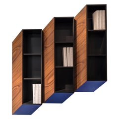 'Cinétisme II' Wall Cabinet by Charles Kalpakian