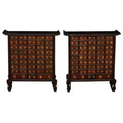 Pair of 19th Century Qing Dynasty Apothecary Cabinets or Chests 