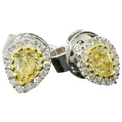 Pear Brilliant Cut Canary Diamond Gold Halo Stud Earrings