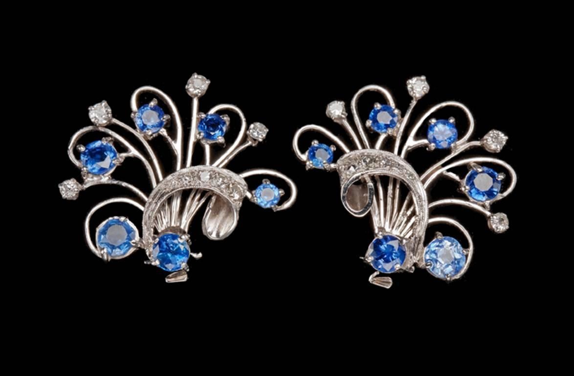 Sapphire Diamond Platinum Floral Spray Earrings 2