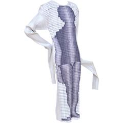 Collector's Issey Miyake Dress Guest Artist Series No. 3 Tim Hawkinson New 12