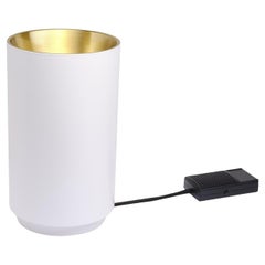 DCW Editions Tobo F140 Floor Lamp in White Brass and Steel