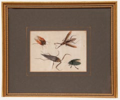Chinese School 19th Century Watercolour - Study of Insects
