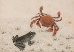 Chinese School 19th Century Watercolour - Green Frog & Tan Crab