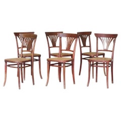 Juego de 6 sillas de mimbre n.º 221 de Michael Thonet para Thonet, años 20