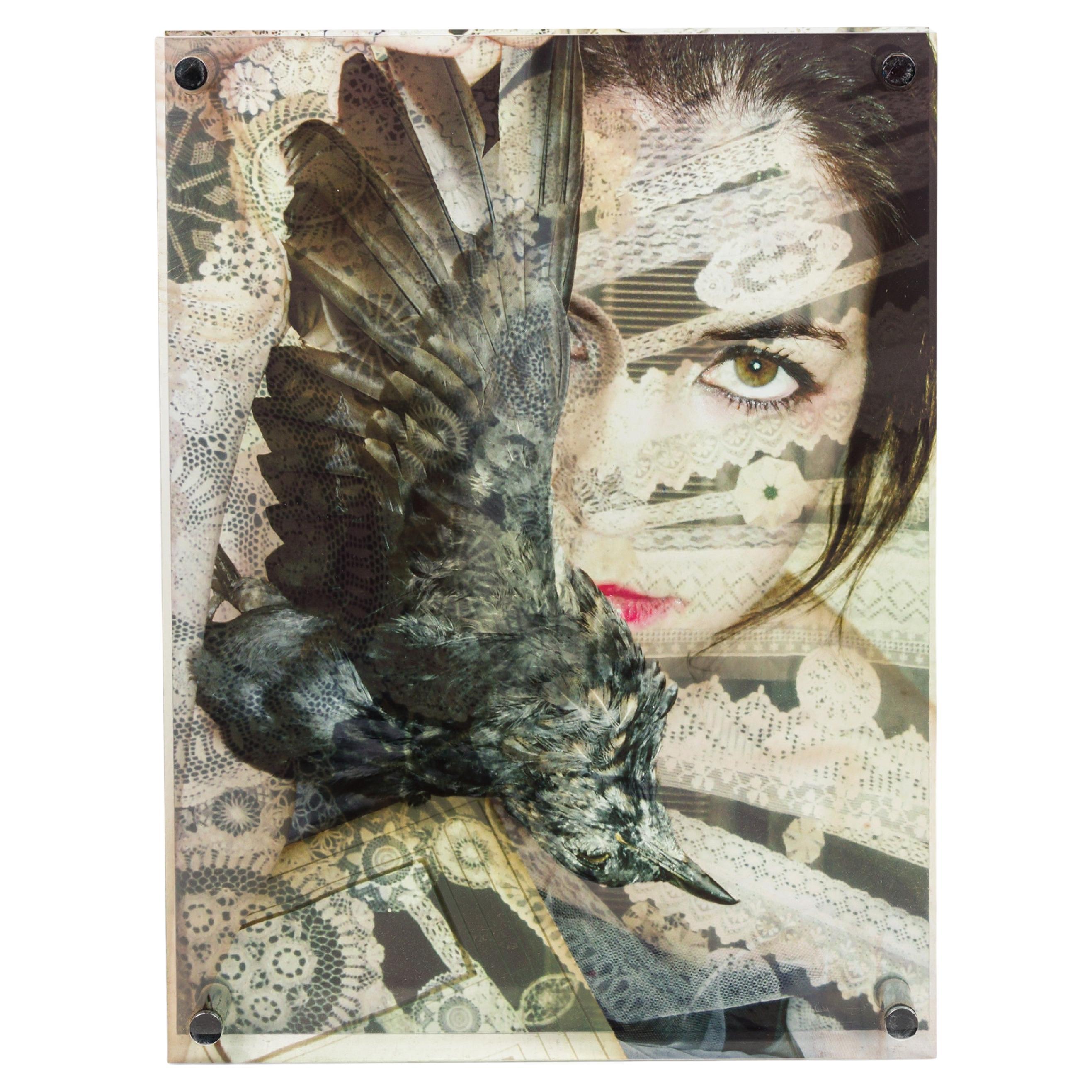 Eva Petric Œuvre d
art abstraite contemporaine en techniques mixtes, intitulée : " Birdy " (2017).