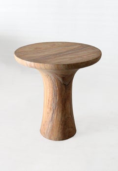 Organic Modern Stone Table, Rainbow Teakwood Stone Tabla Form
