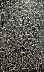 Ed Moses Paintings
