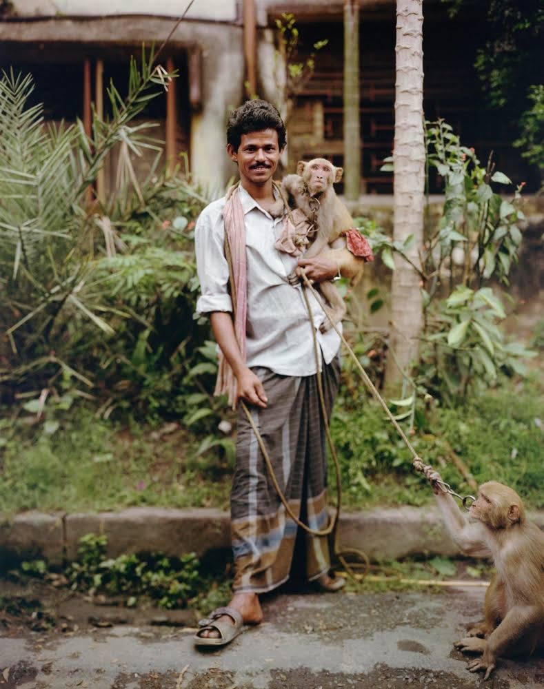 Laura McPhee Color Photograph - Street Performer with Two Monkeys, Jodhpur Park, Kolkata, 1998