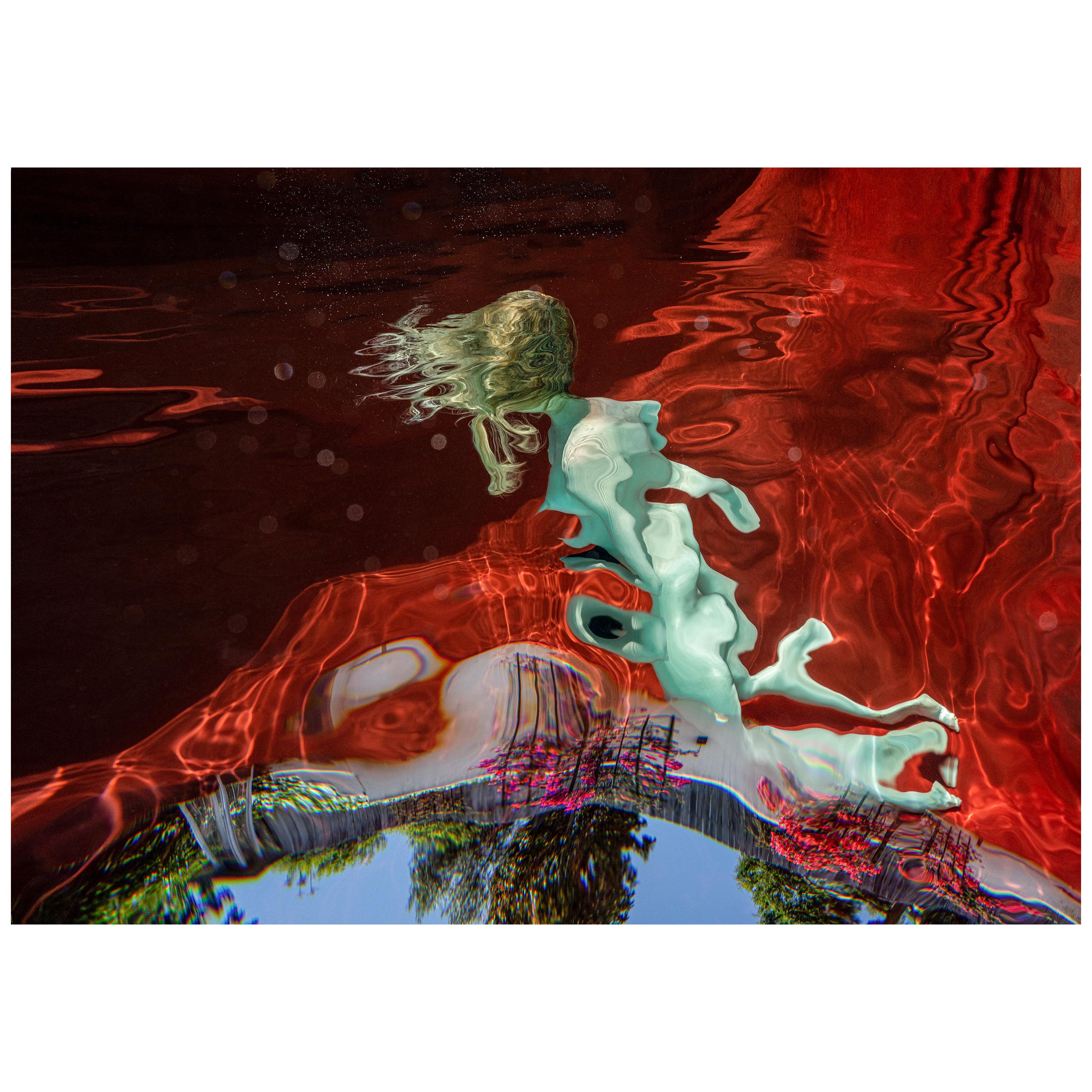 Alex Sher Abstract Photograph - Alice - photograph of an underwater reflection - archival print 16 x 23"