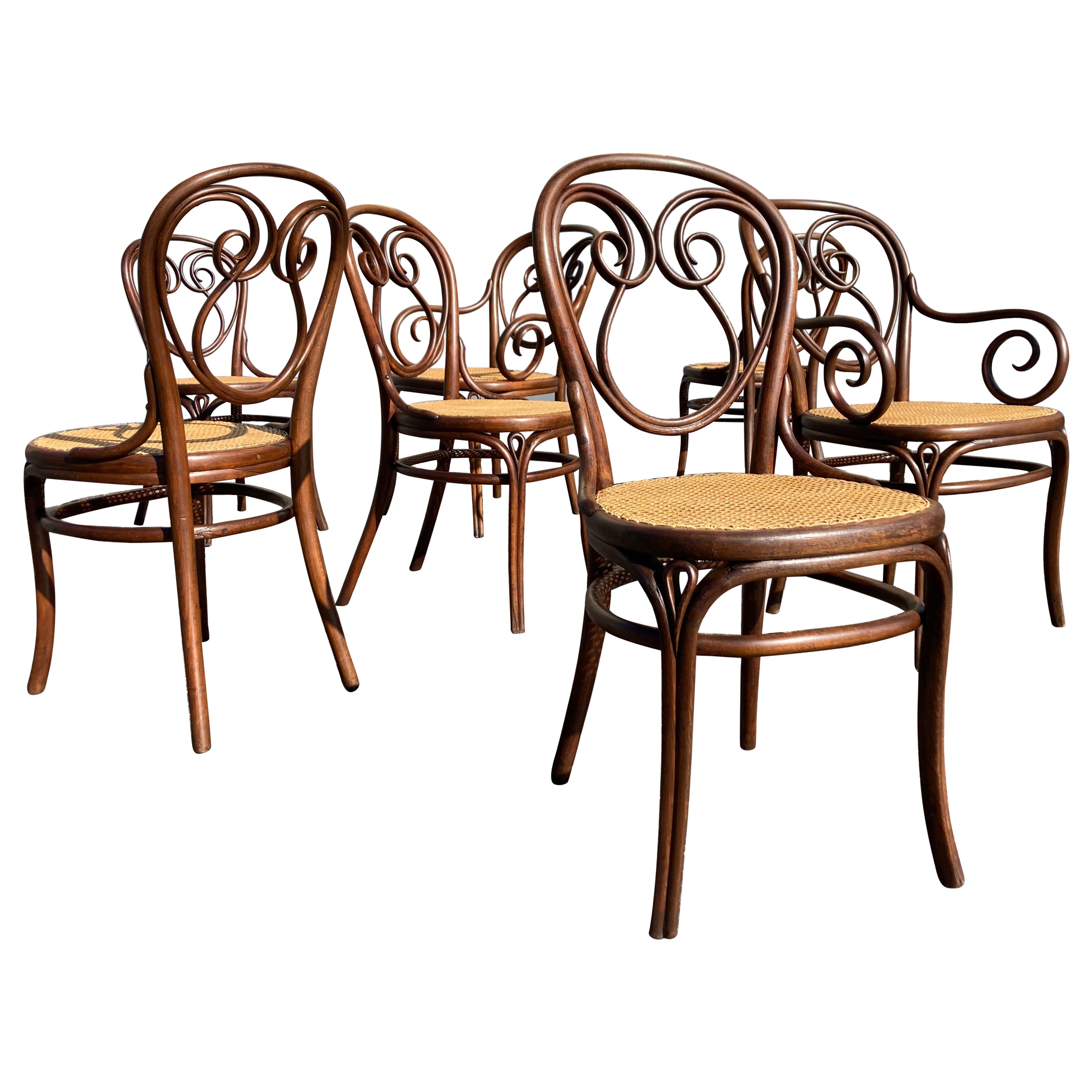Rare Set of Thonet Chairs Model 13, Bentwood and Cane For Sale