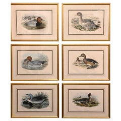 Vintage Set of Six Framed and Matted Duck Prints