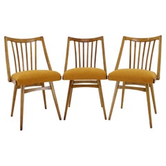 1960s Antonin Suman Oak Chair, Set of Three 