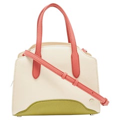 Loro Piana Multicolor Grained Leather Micro Sesia Tote