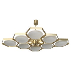 Hive Chandelier by Fabio Ltd