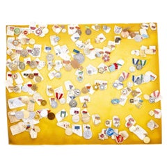 Sports collections - Collection of pins, emblems and badges - 90