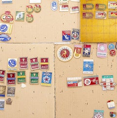 Sports collections - Collection of pins, emblems and badges - 100