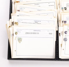 Sport-Sammlerstücke – Sammlung von Ansteckern, Emblemen und Abzeichen – 300
