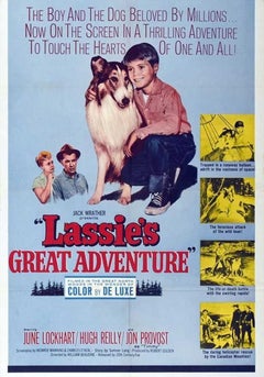 Lassie's Great Adventure Unframed Poster, 1963