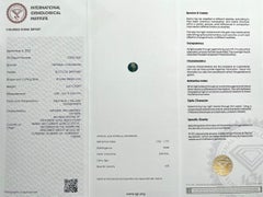 Unique IGI Certified Bi Colour Sapphire Australia 0.67ct Blue Yellow Unheated