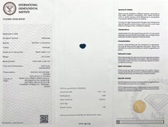IGI Certified 1.00ct Natural Deep Blue THAI Sapphire Heart Cut 6.8x5.2mm Gem