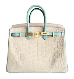 Hermes Birkin 25 SO Alligator Vanille & Vert D'eau Brushed Gold Top Handle Bags