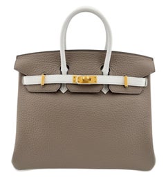 Hermes Birkin 25 SO Gris Tourterelle Gray Leather Brushed Gold Top Handle Bags