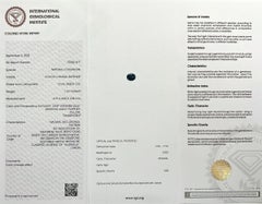 Rare IGI Certified 1.10ct Colour Change Australia Sapphire Unheated Oval Cut