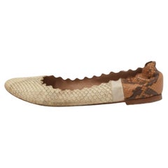 Ballerine Chloe crema/marrone con accenti smerlati taglia 38