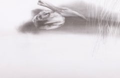 Dibujo - José Rodrigues